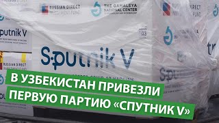 В Узбекистан привезли первую партию вакцины «Спутник V»