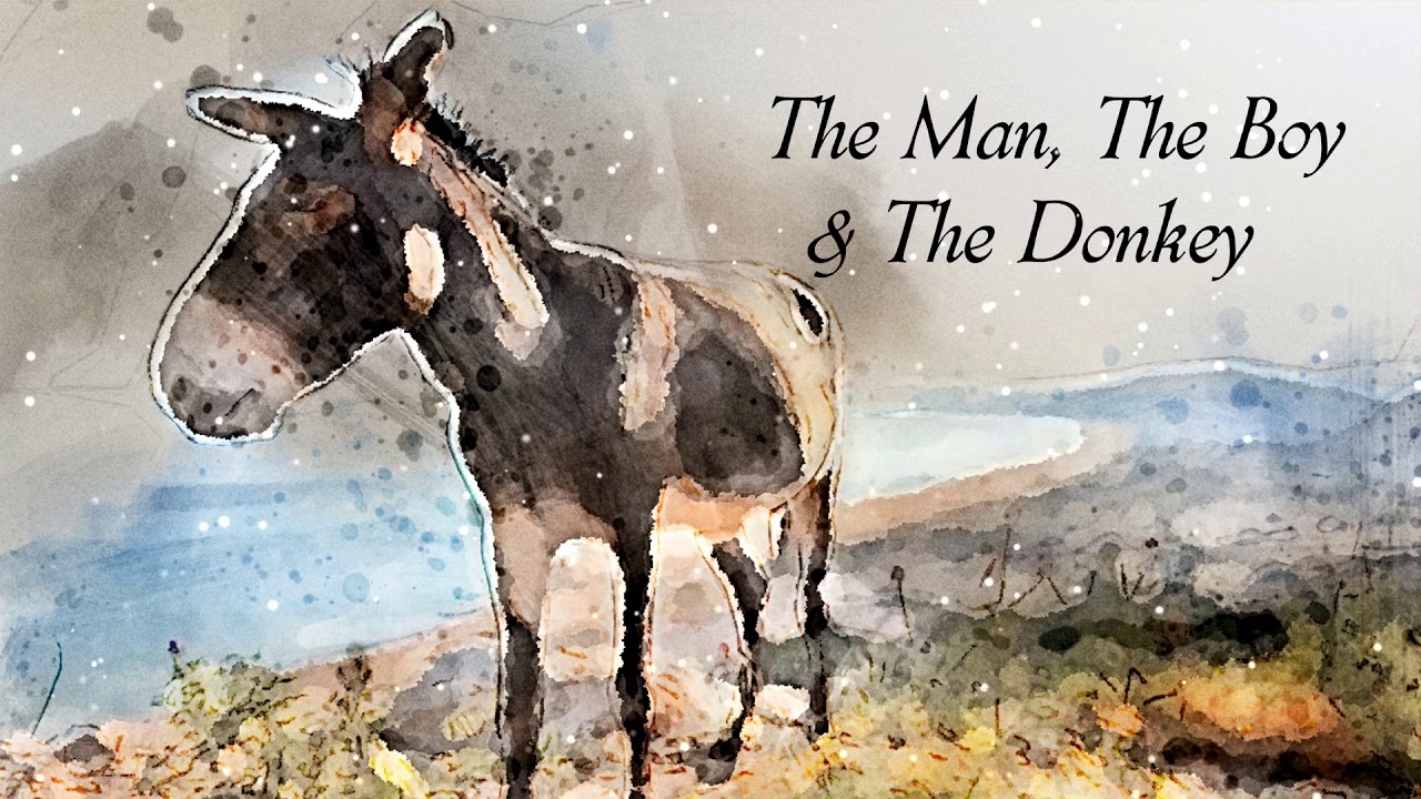 the man the boy and the donkey summary