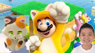 Super Mario Don't Like Cats CKN Gaming