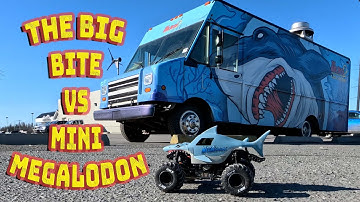 #950 The Big Bite Vs Mini Megalodon