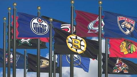 NHL Logos as Flags: A Dynamic Animation