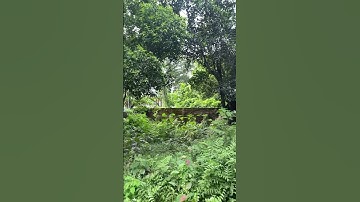 Thumbnail of Natural Beauty & adit song #song #love #music #mazalo #mtube