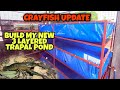 Making my new 3 layered trapal pond for my crayfish urban farming setup 