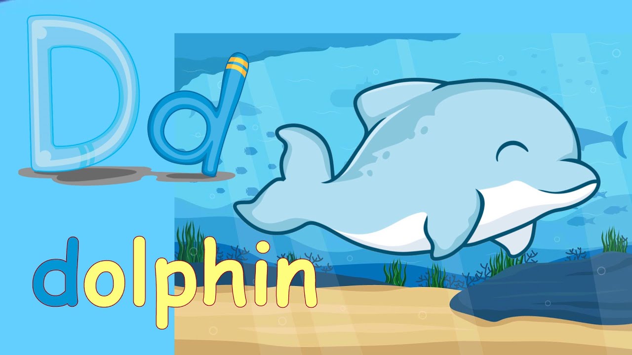 Happy Dolphin Swimming Phonics Song | KiddieZone - YouTube