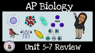 AP Biology Unit 5-7 Review Anchor Charts @TeachingBiologyisFun /TEACHING BIOLOGY IS FUN