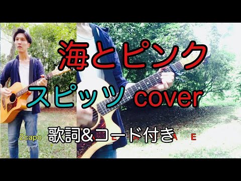 海とピンク　スピッツ（spitz）　弾き語り　カバー／浅井しんや