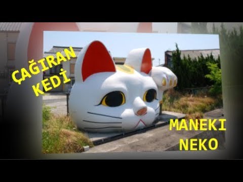 Video: Neko nədir? Maneki-neko - faydalı suvenir