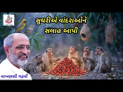 સુઘરીએ વાંદરાઓને સલાહ આપી || લાખણશી ગઢવી || lakhansi gadhvi || #લાખનચારણ ||