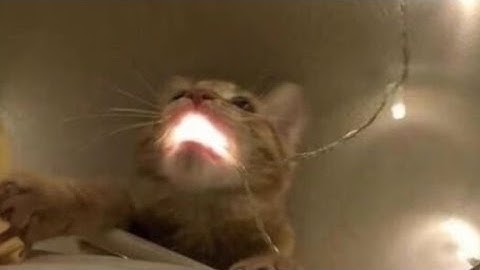 My Part In Shitty Exosphere