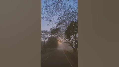 Tezpur University❄⛄