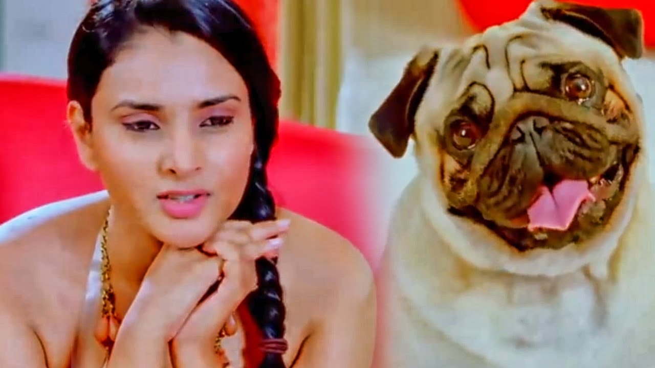 रम्या अपने फीलिंग्स के बारे में इस कुत्ते को बता रही है