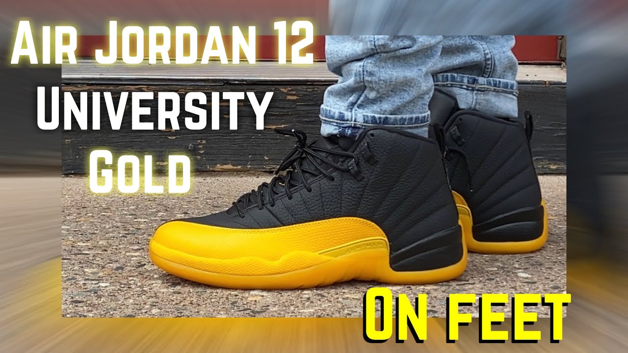 air jordan 12 university gold on feet