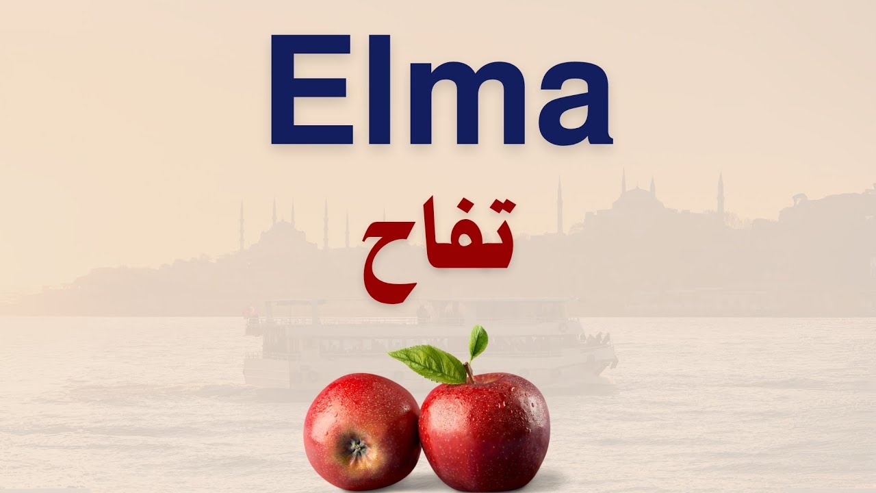 تعلم اللغة التركية بدون قواعد 🇹🇷 - الجزء (11)