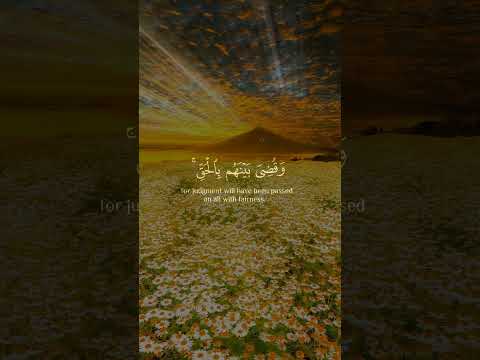 وترى الملائكة حافين من حول العرش يسبحون بحمد ربهم تلاوة رائعة الشيخ محمود الشحات