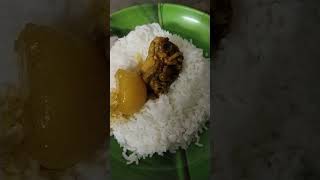 steamed rice with spicy chicken curry ? ytfoodshorts bengalfood indianfood