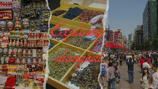 Chinese shops @ East Nanjing road,shanghai||China diaries(part 3 )🇨🇳