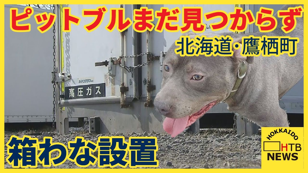 ピットブル 事故