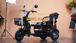 Электроскутера Trike Kachu Roof S, для всей семьи