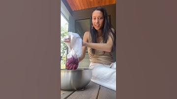 Elderberry BlueBerry Wine #fermentation  #forageharvester  #homestead