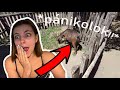 🤣KIENGEDTEM EGY KECSKÉT😰 | 🦁ÁLLATKERT🐒| 🏖BALATON🏖| NAPI VLOGOK