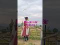 This is a must try cafe at Bir , himachal pradesh #birbiling #northercafe #viral #youtubeindia #yt