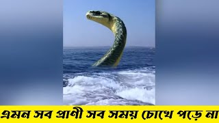 পৃথিবীর সব অদ্ভুত প্রাণীর অদ্ভুত সব কান্ড|| এরকম  ভিডিও সব সময় চোখে পড়ে না