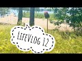 LifeVlog 12. Покупки . Гости . Заболела .