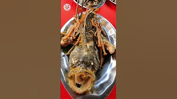 Cá bống mú hấp hồng kong | Món ngon đãi tiệc | Đặt Tiệc Naifood  #naifood #dattiectrongoi