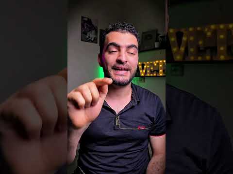 حل مشكلة الحشرات في القطط حشرات القطط قطط سيامي قطط قطط شيرازي قطط سيامي