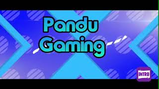 Intro Pandu Gaming