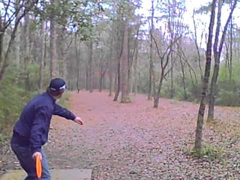 The Sinks Disc Golf Chattanooga Seth Rh Flick