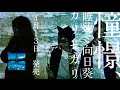 【4/13リリース!】cali≠gariミニアルバム『憧憬、睡蓮と向日葵』ティーザー