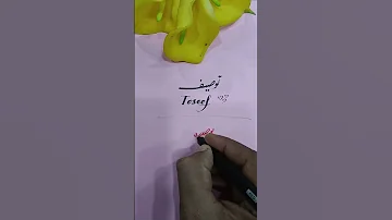 Toseef Youtube Fezitubidy Foryou Youtubeshorts Shortvideo Pti Jazzy Imrankhan 