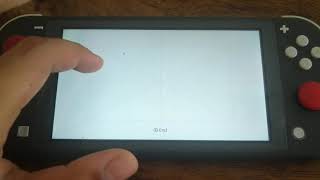 Nintendo Switch Lite Touch Screen Test screenshot 3