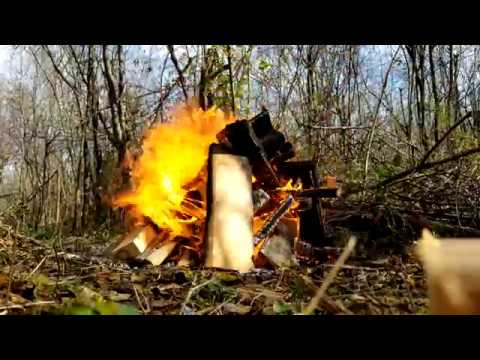 Buring a stump out time lapse