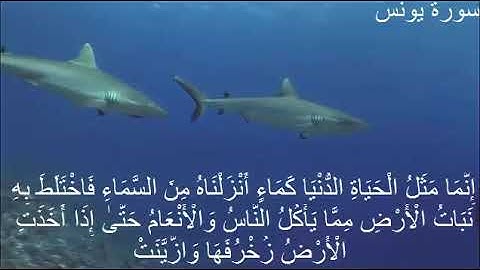 سوره يونس (فارس عباد) مع كتابه الايات بجوده عاليه