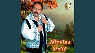 Video thumbnail of "Nicolae Paliț - De la Cernăuți la vale"