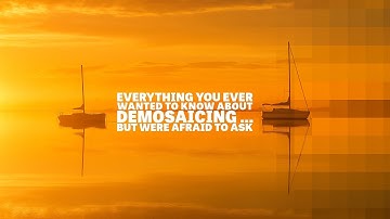 Everything You Ever Wanted to Know About Demosaicing ... But Were Afraid to Ask