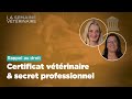 Ref:zWwKyXmA4PI V�to &amp; droit - certificat v�t�rinaire &amp; secret professionnel