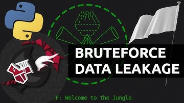 BCACTF - Bruteforcing "Basic Pass" (with SinisterMatrix!)