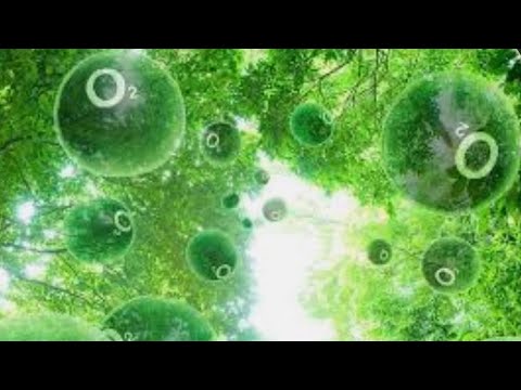 تمارين لزيادة الأوكسجين