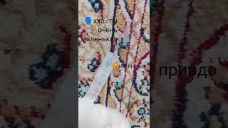26 октября 2025 г.
