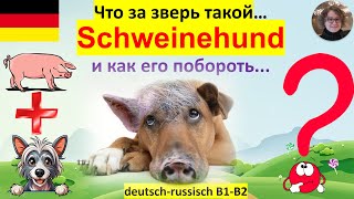 Что за зверь такой Schweinehund и как его побороть?