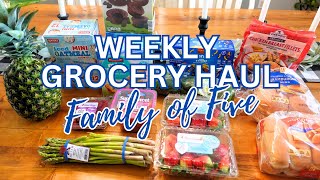 GROCERY HAUL FAMILY OF FIVE | ALDI HAUL | WALMART HAUL by Living In The Mom Lane 500 views 2 months ago 4 minutes, 5 seconds