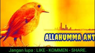SHOLAWAT ALLOHUMMA ANTASSALAM VERSI DJ.viral & populer.by#alanpratama