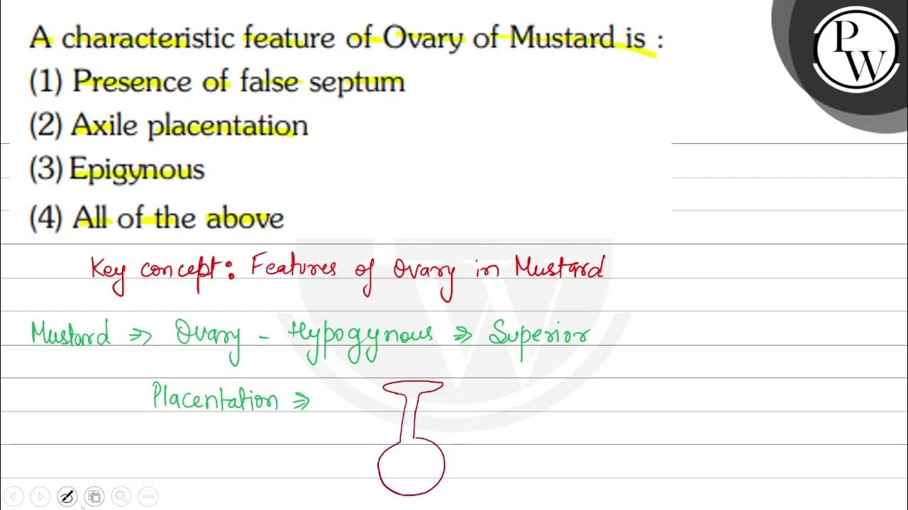 A characteristic feature of Ovary of Mustard is \( \mathrm{P