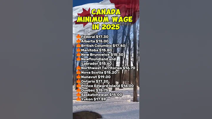 Canada Minimum Wage in 2025 #shorts