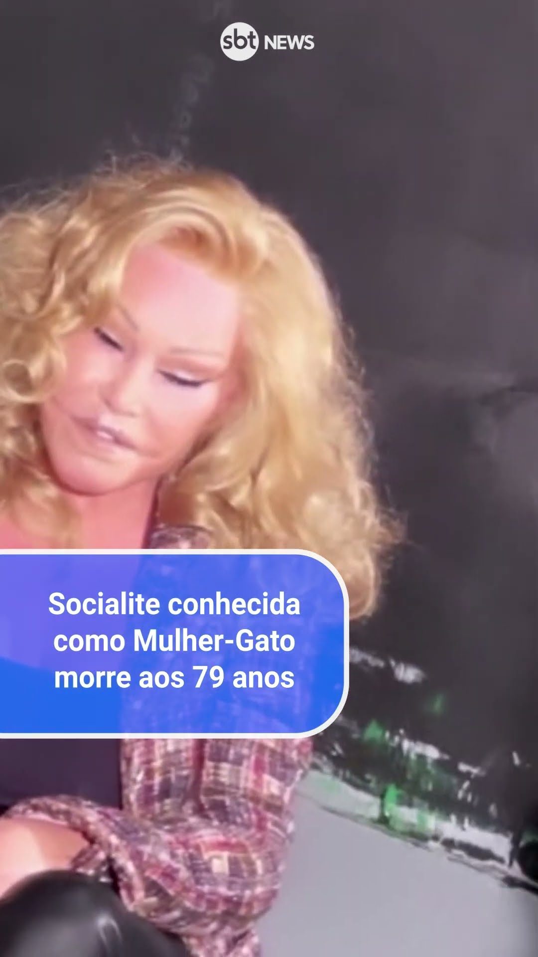Morre Jocelyn Wildenstein, socialite conhecida como 'mulher-gato'