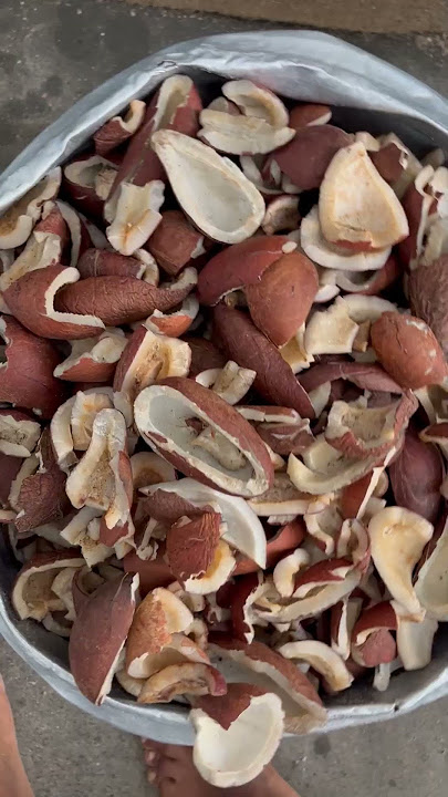 Coconut OIL making #shorts #oil