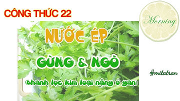 Công thức 22- Nước ép thanh lọc gan | MORNING MITA